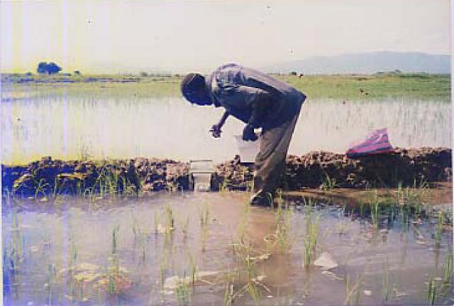 Agriculture-Irrigation Systems, Climate change, Livelihood, Policy and Institution